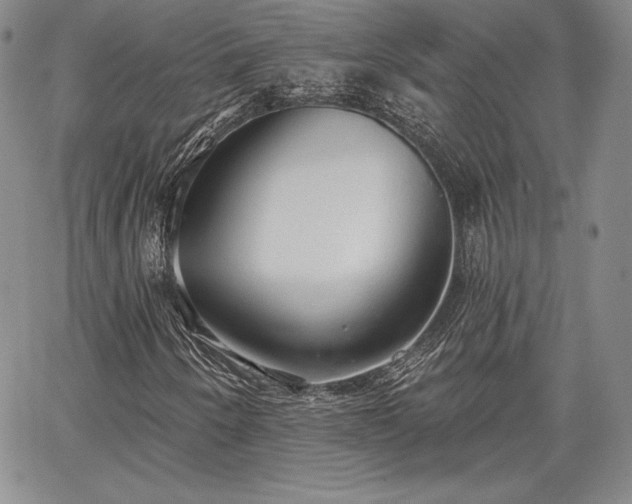 X0000067941250200604201357