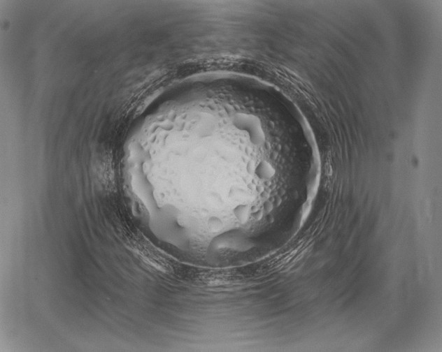 X0000067941252200604201357