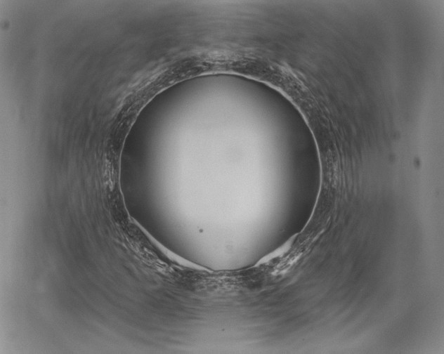 X0000067941253200604201357