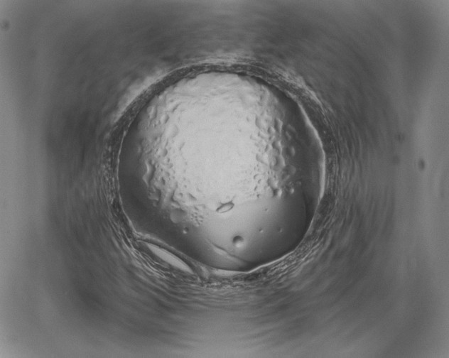 X0000067941256200604201357