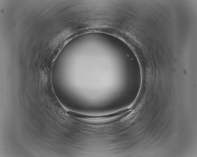 X0000067941257200604201357