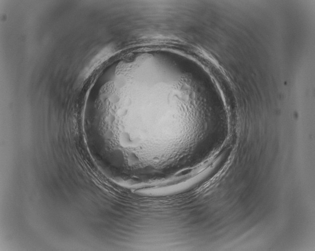 X0000067941259200604201357