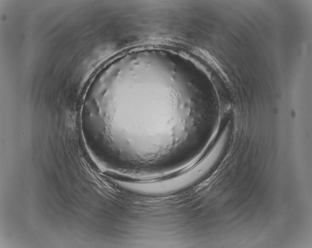 X0000067941260200604201357