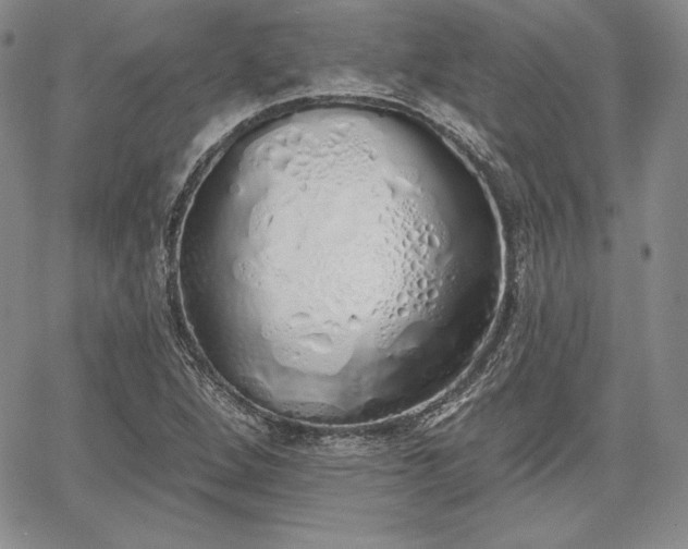 X0000067941264200604201356