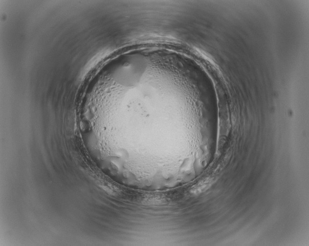 X0000067941267200604201356
