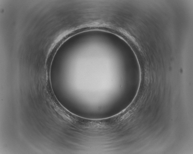 X0000067941270200604201356