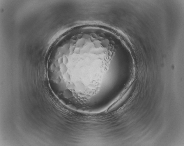 X0000067941271200604201356