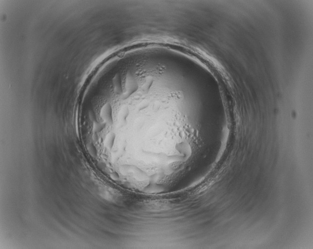 X0000067941272200604201356