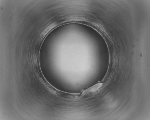 X0000067941273200604201356