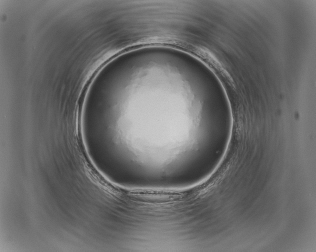 X0000067941276200604201356