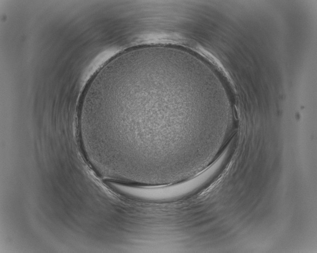 X0000067941277200604201356
