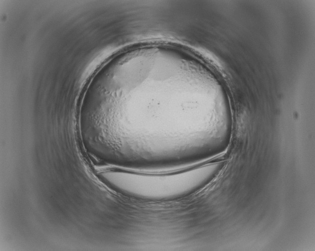 X0000067941279200604201356