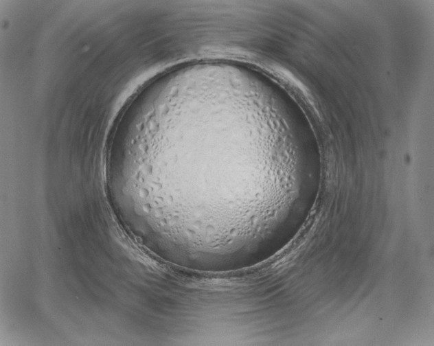 X0000067941280200604201356