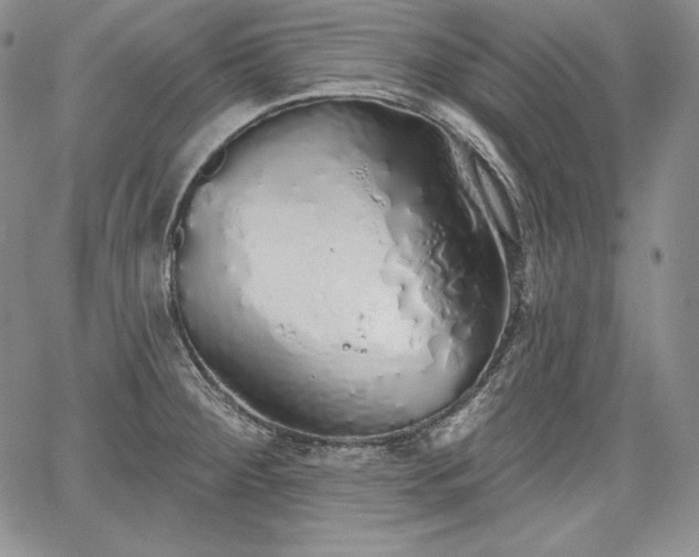 X0000067941284200604201356