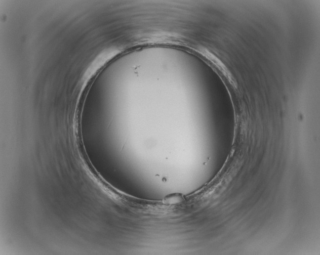 X0000067941285200604201356