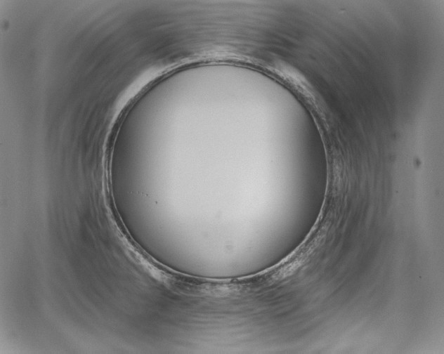 X0000067941286200604201356
