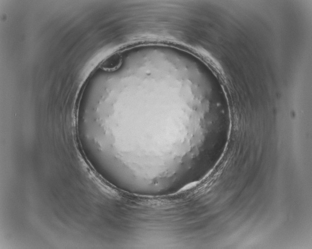 X0000067941287200604201356
