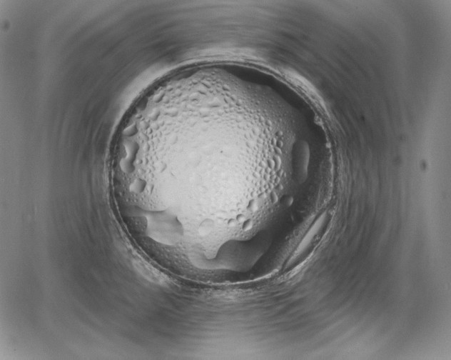 X0000067941288200604201356
