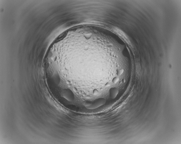 X0000067941292200604201356