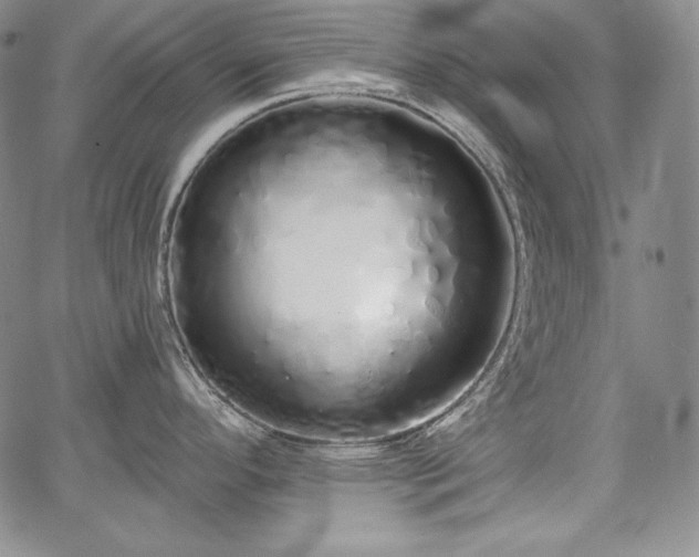 X0000067941296200604201356