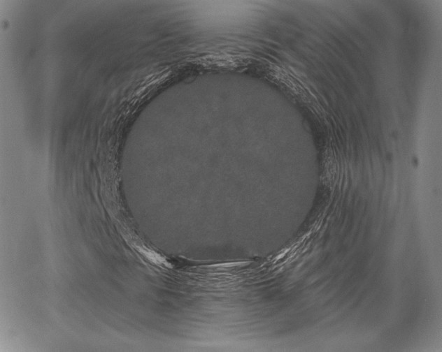 X0000067941297200604201355