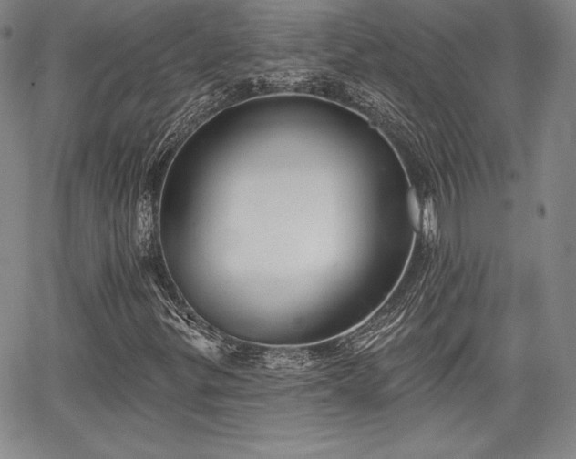 X0000067941299200604201355