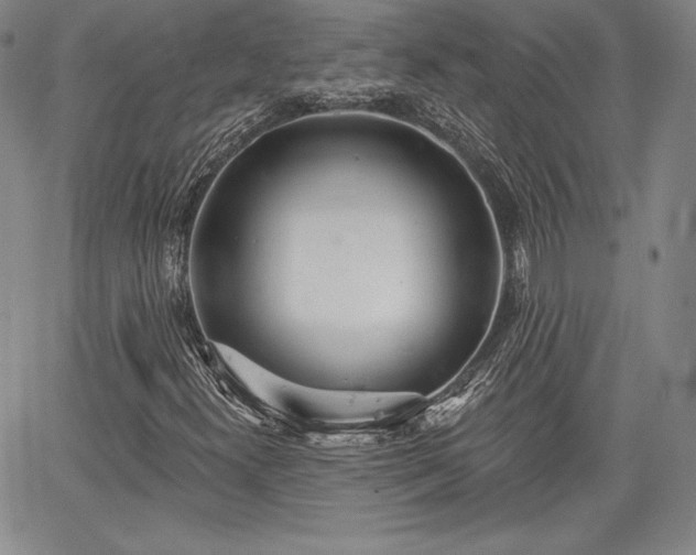 X0000067941300200604201355