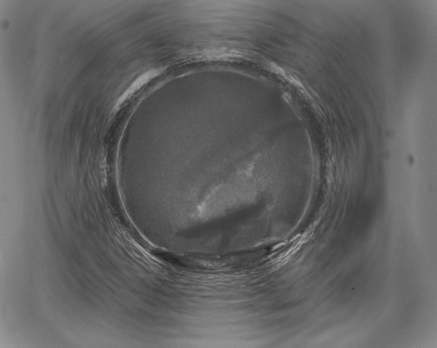 X0000067941306200604201355