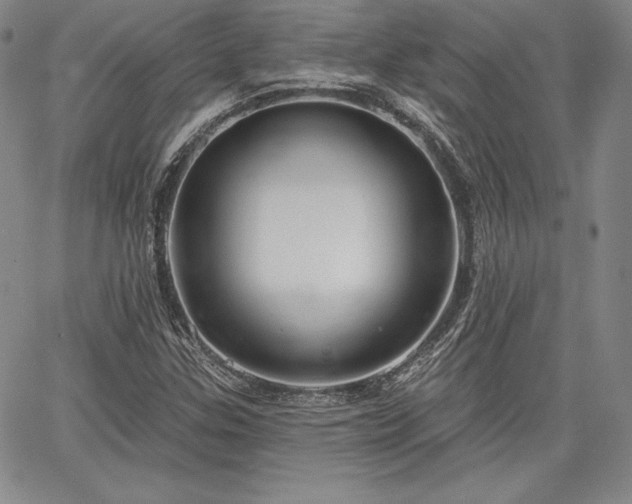 X0000067941307200604201355