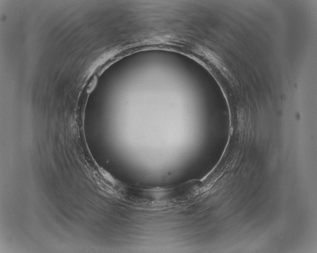 X0000067941308200604201355