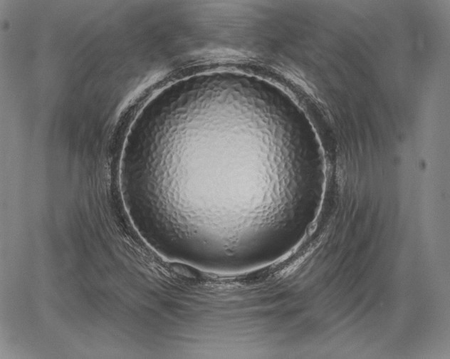 X0000067941309200604201355