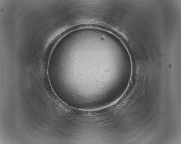 X0000067941311200604201355