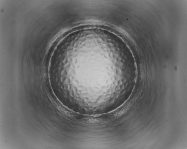 X0000067941318200604201355