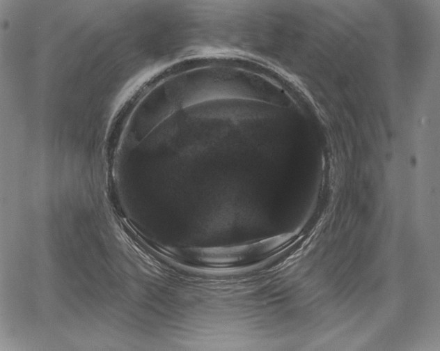 X0000067941319200604201355