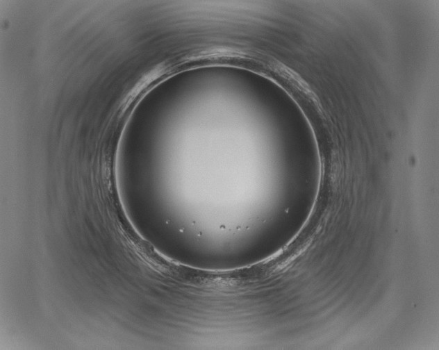 X0000067941321200604201356