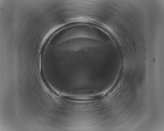 X0000067941323200604201356