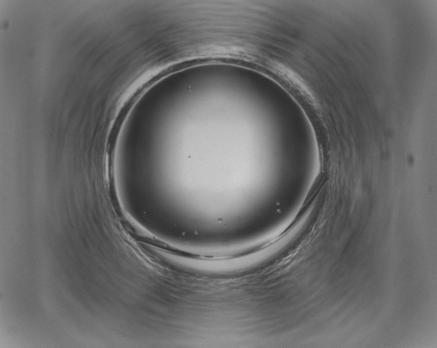 X0000067941324200604201356