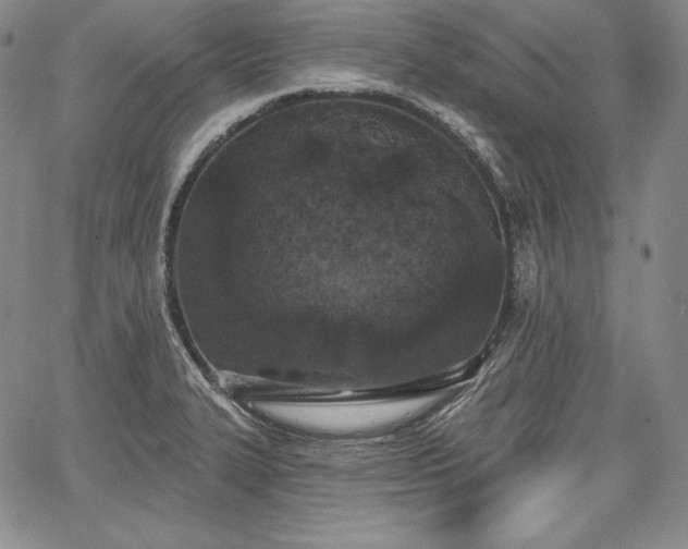 X0000067941327200604201356