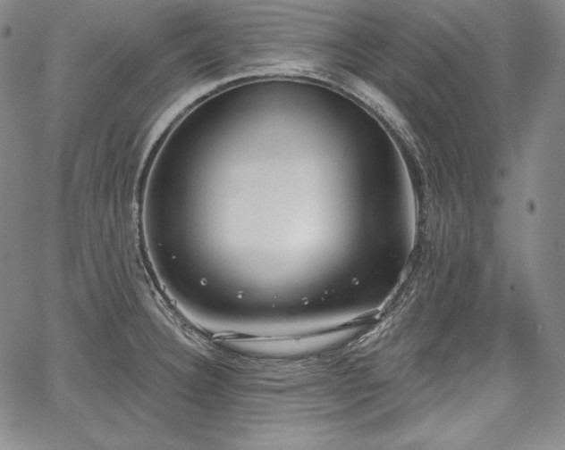 X0000067941332200604201356