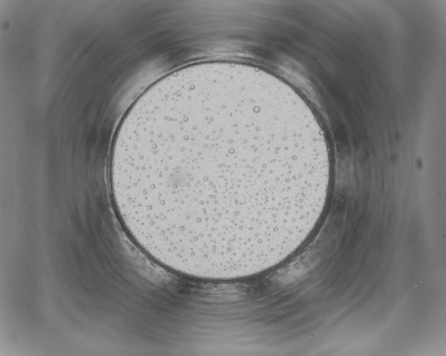 X0000067941338200604201356