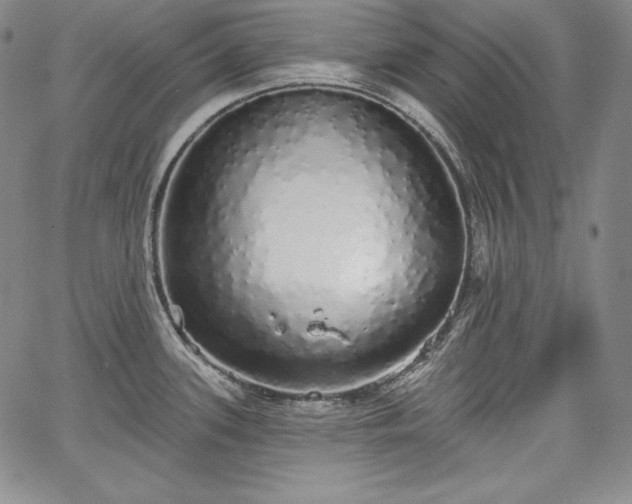 X0000067941339200604201356