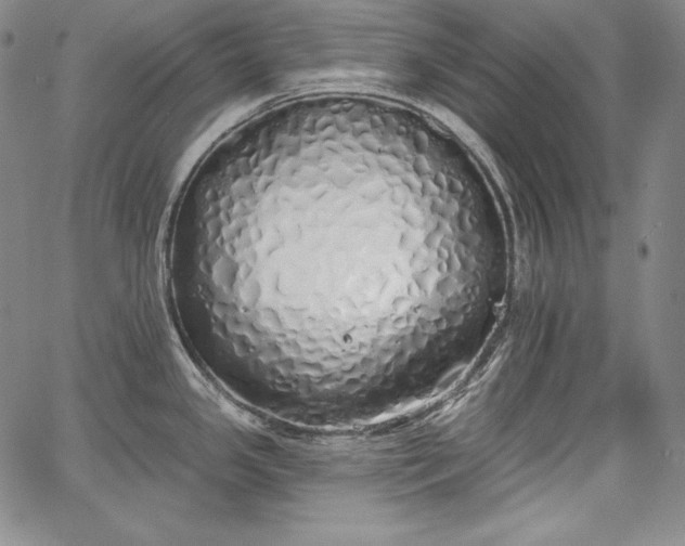 X0000067941341200604201356