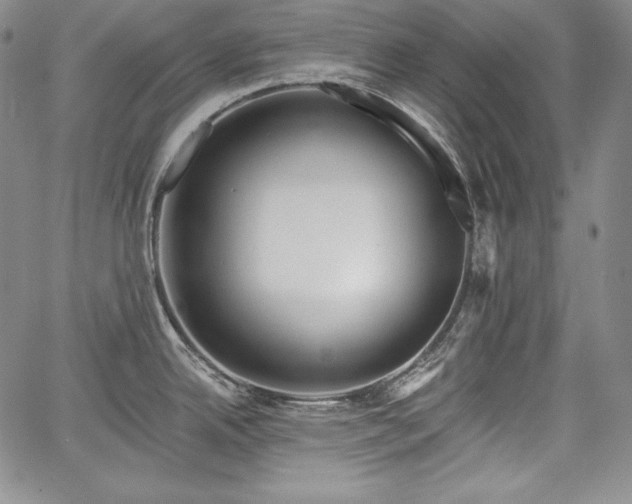 X0000067941342200604201356
