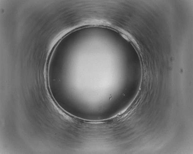 X0000067941343200604201356