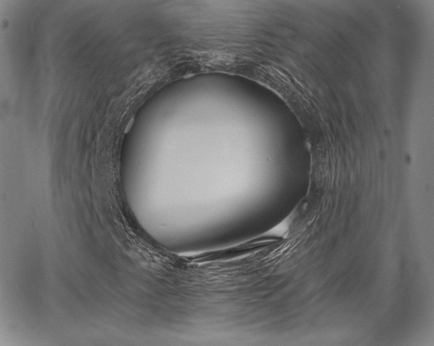X0000067941345200604201355