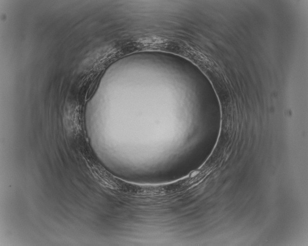 X0000067941346200604201355
