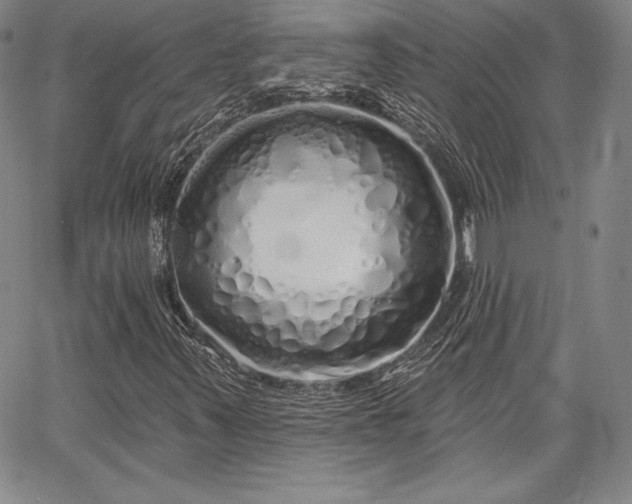 X0000067941347200604201355