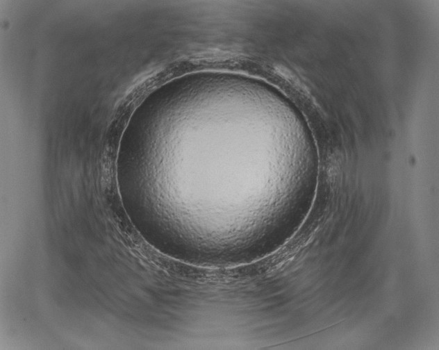 X0000067941350200604201355