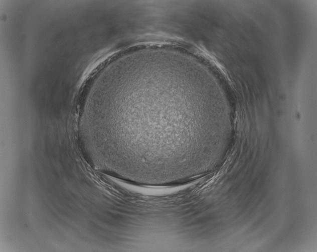 X0000067941352200604201355