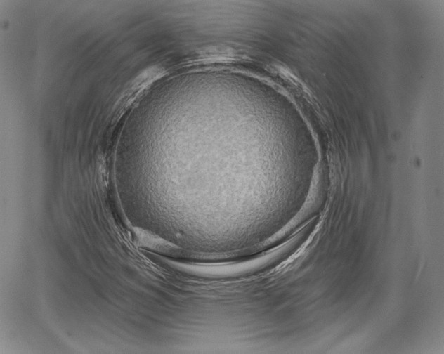 X0000067941353200604201355